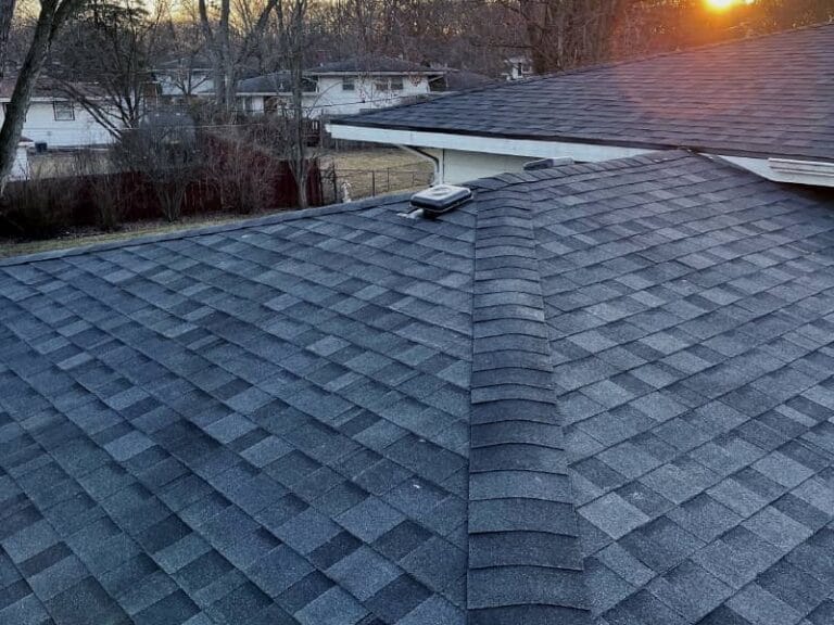 Slog's Roof Installation