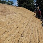 Shingle Roof Replacement in Chicago: From Porch Repair to Full Rebuild - SLOG project